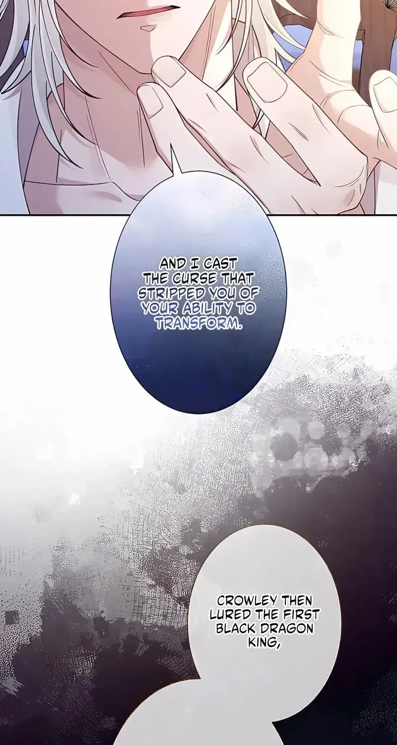 Fuguu no Hanayome wa, Utsukushiki Ryuu Ou ni Ubawareru Chapter 52 page 38 - 