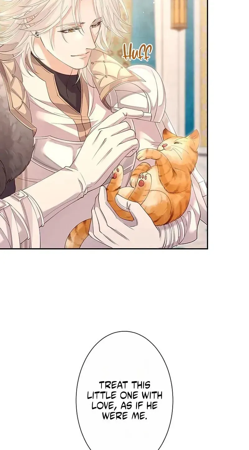 Fuguu no Hanayome wa, Utsukushiki Ryuu Ou ni Ubawareru Chapter 55 page 43 - 