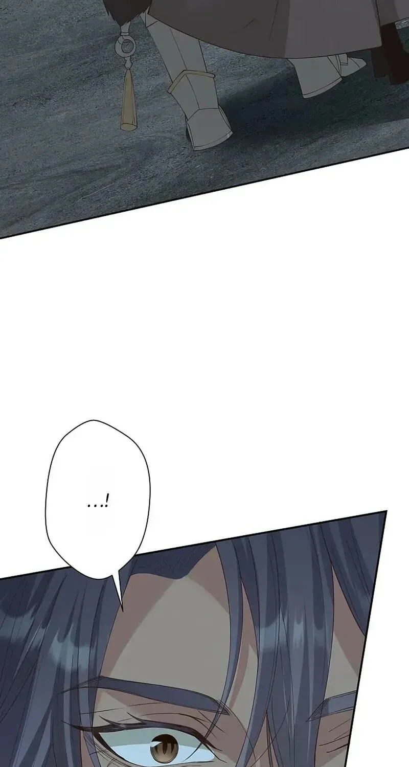 Fuguu no Hanayome wa, Utsukushiki Ryuu Ou ni Ubawareru Chapter 59 page 84 - 