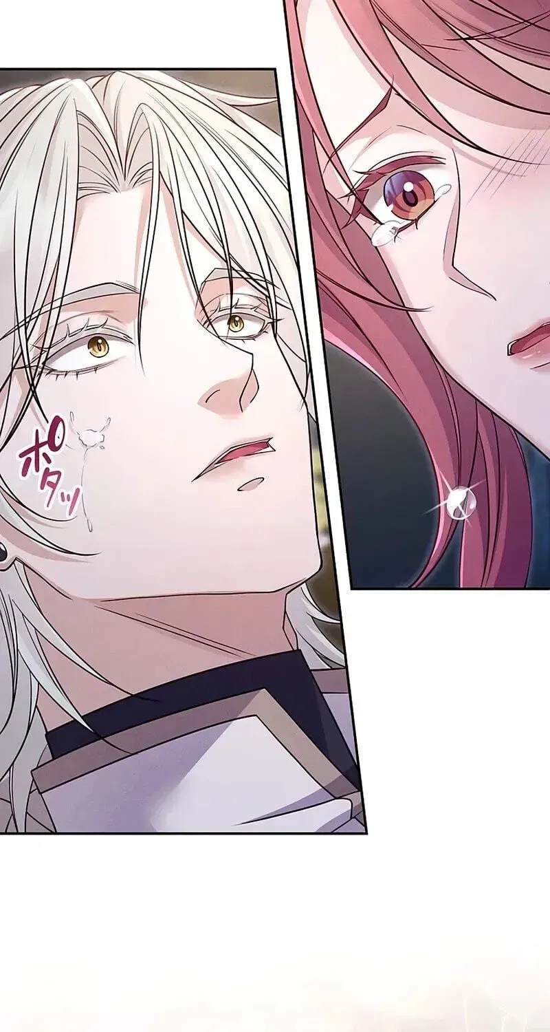 Fuguu no Hanayome wa, Utsukushiki Ryuu Ou ni Ubawareru Chapter 60 page 41 - 