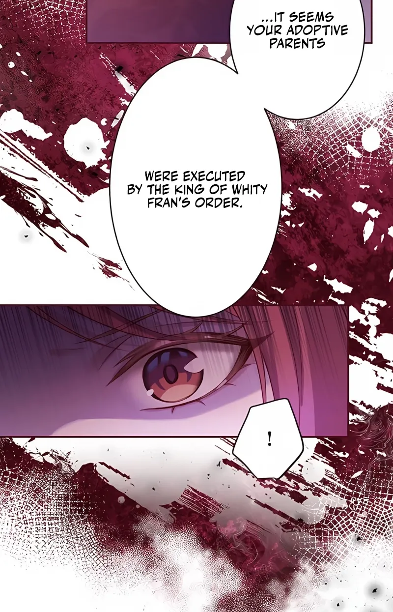 Fuguu no Hanayome wa, Utsukushiki Ryuu Ou ni Ubawareru Chapter 7 page 24 - 