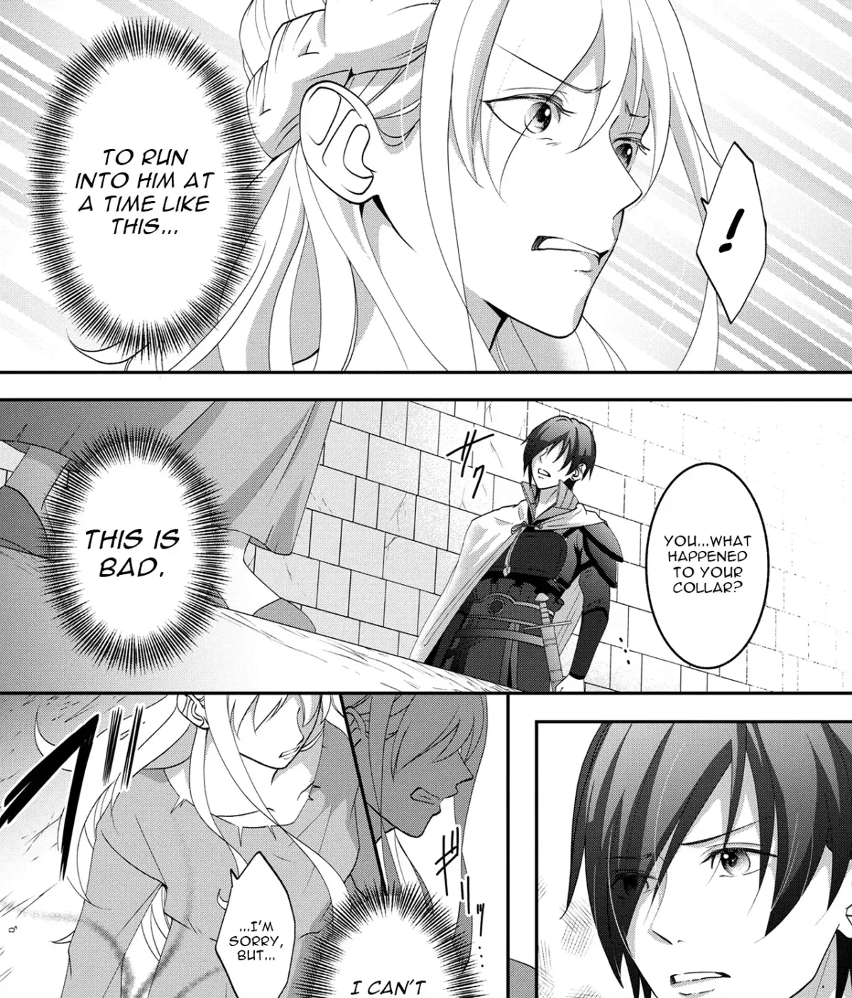 Fukushuu no Ou Taishihi - Shiitagerareta Reijiu wa Reikoku Kishi no Te wo Toru Chapter 2 page 13 - 