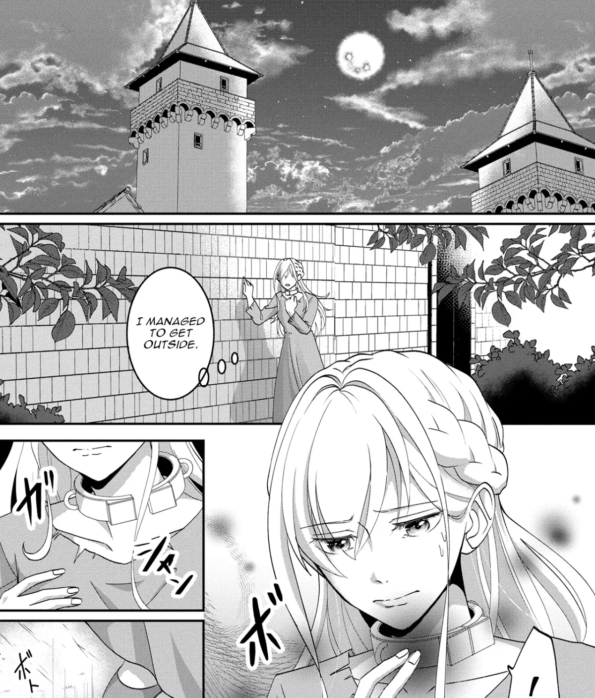 Fukushuu no Ou Taishihi - Shiitagerareta Reijiu wa Reikoku Kishi no Te wo Toru Chapter 2 page 5 - 