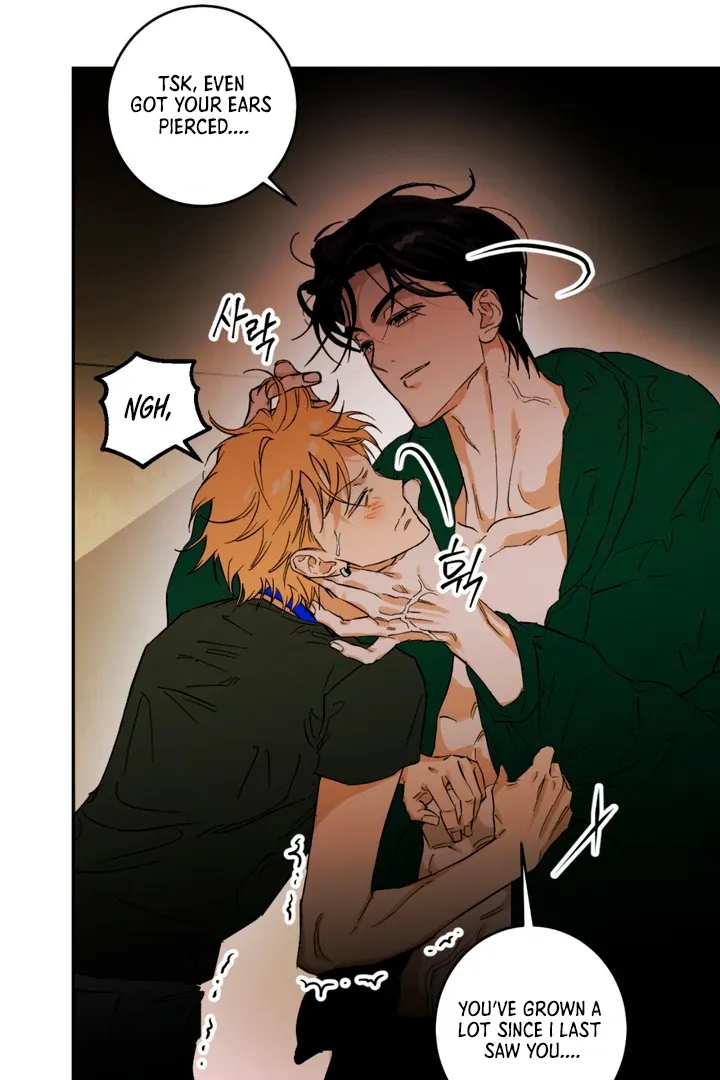 Full Book Chapter 1 page 153 - 