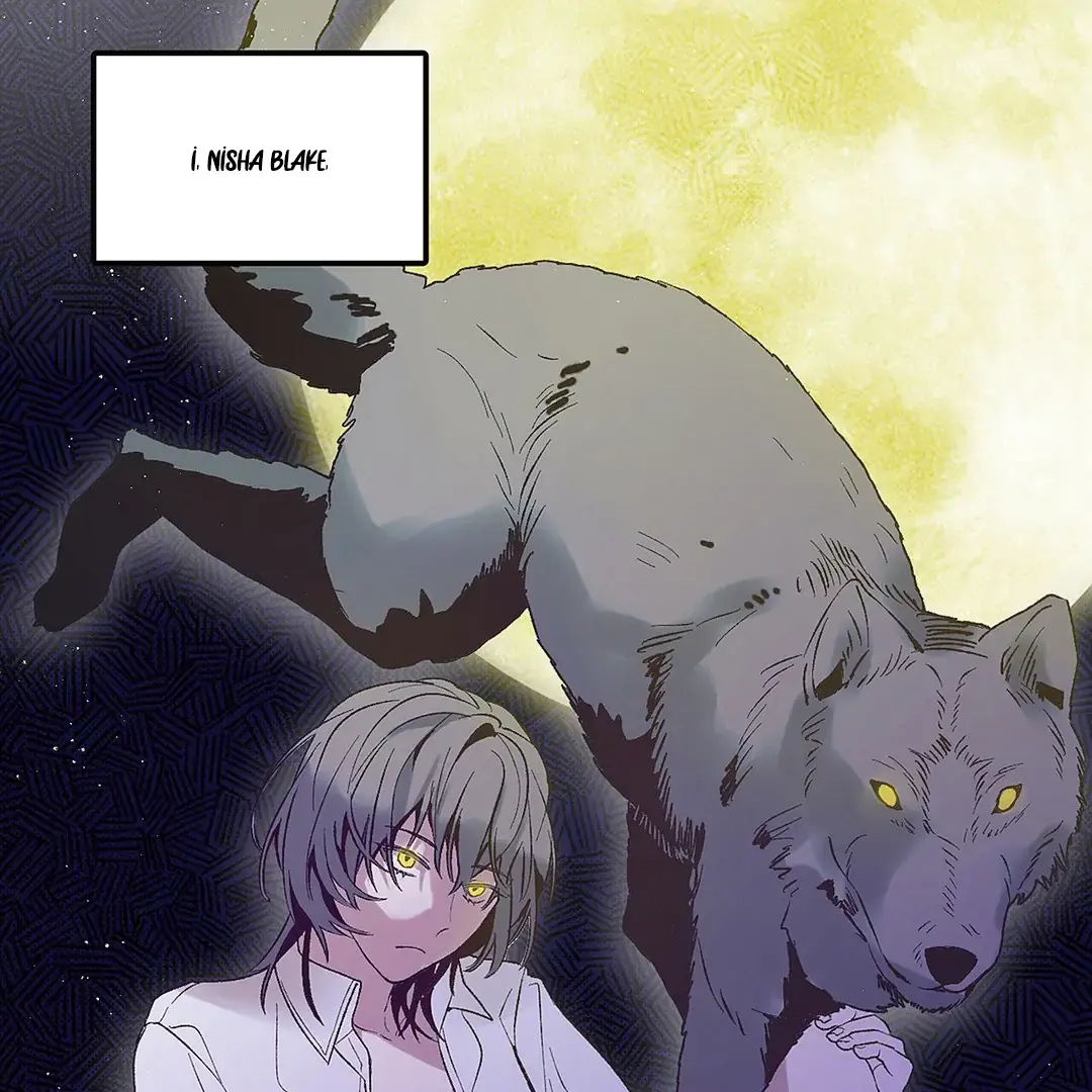 Full Moon Accident Chapter 1 page 23 - 