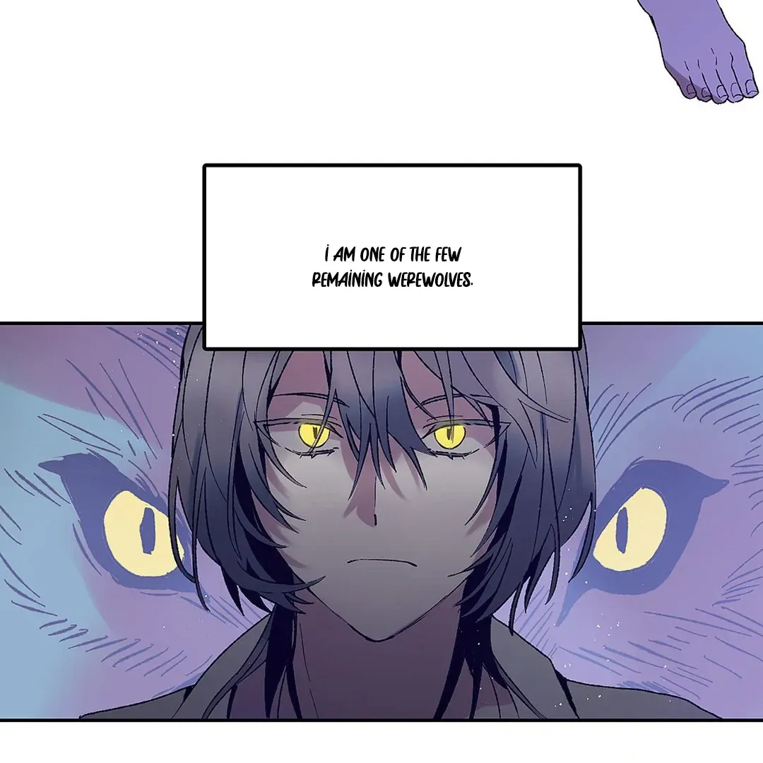 Full Moon Accident Chapter 1 page 25 - 