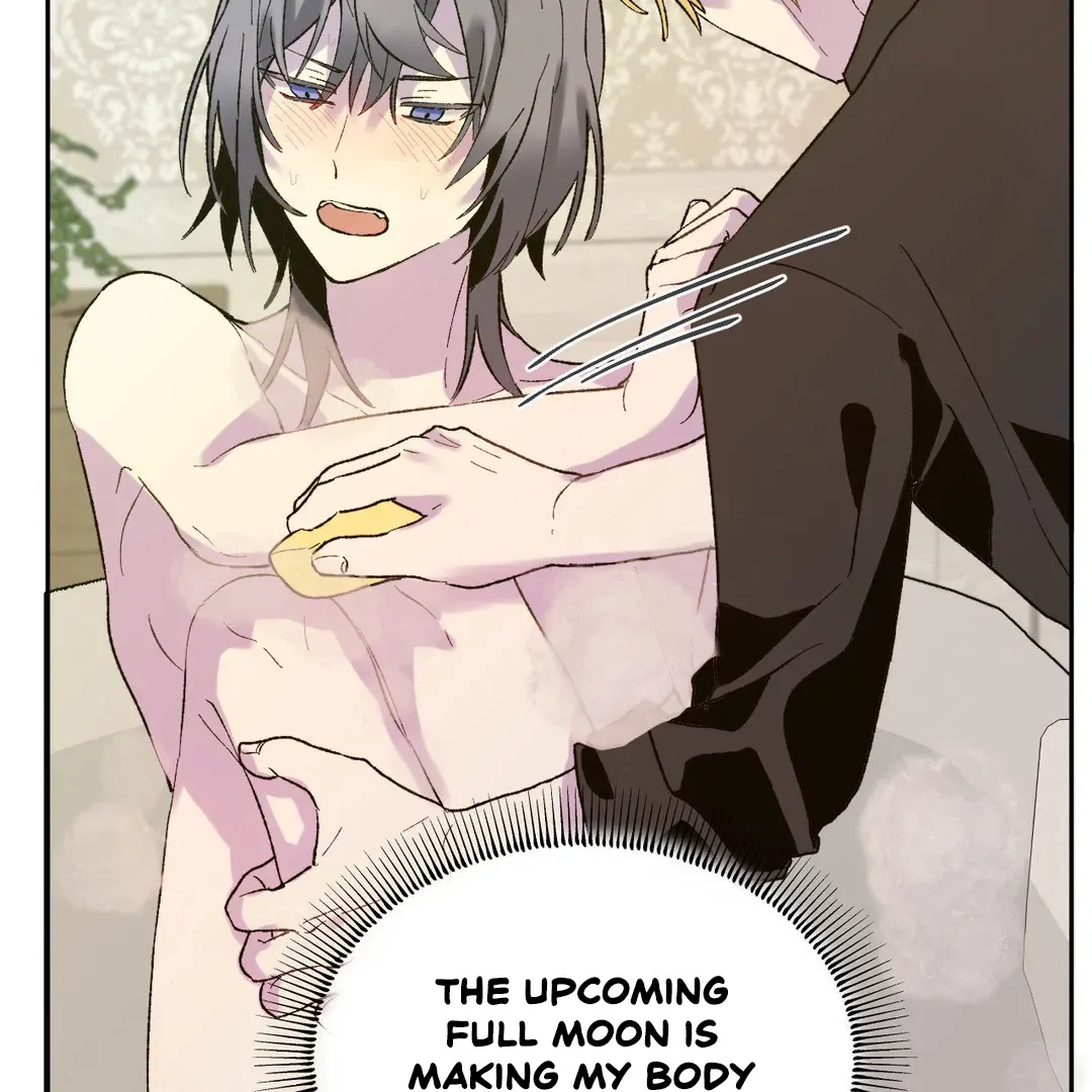 Full Moon Accident Chapter 2 page 98 - 