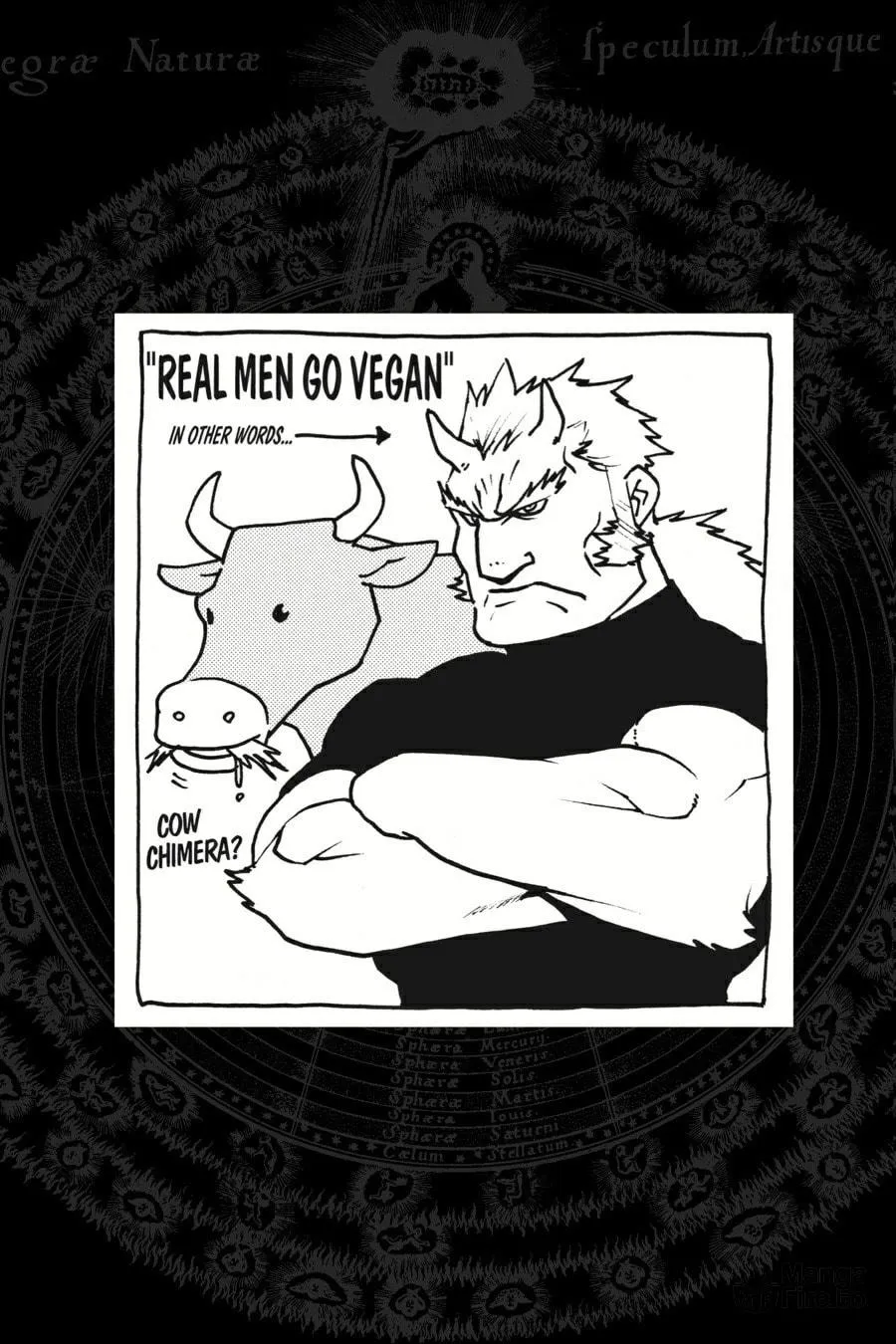 Fullmetal Alchemist Chapter 103 page 42 - 