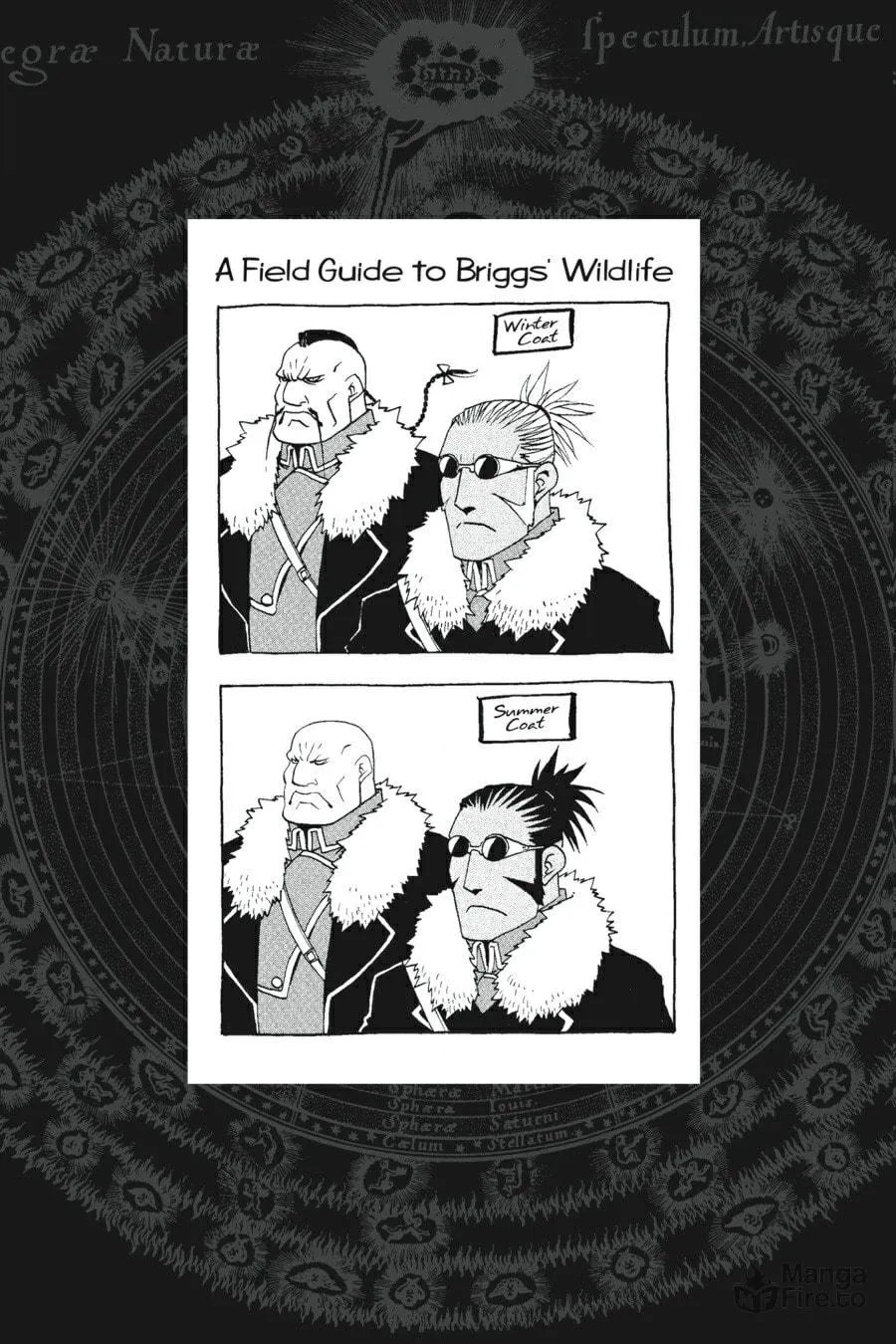Fullmetal Alchemist Chapter 78 page 36 - 