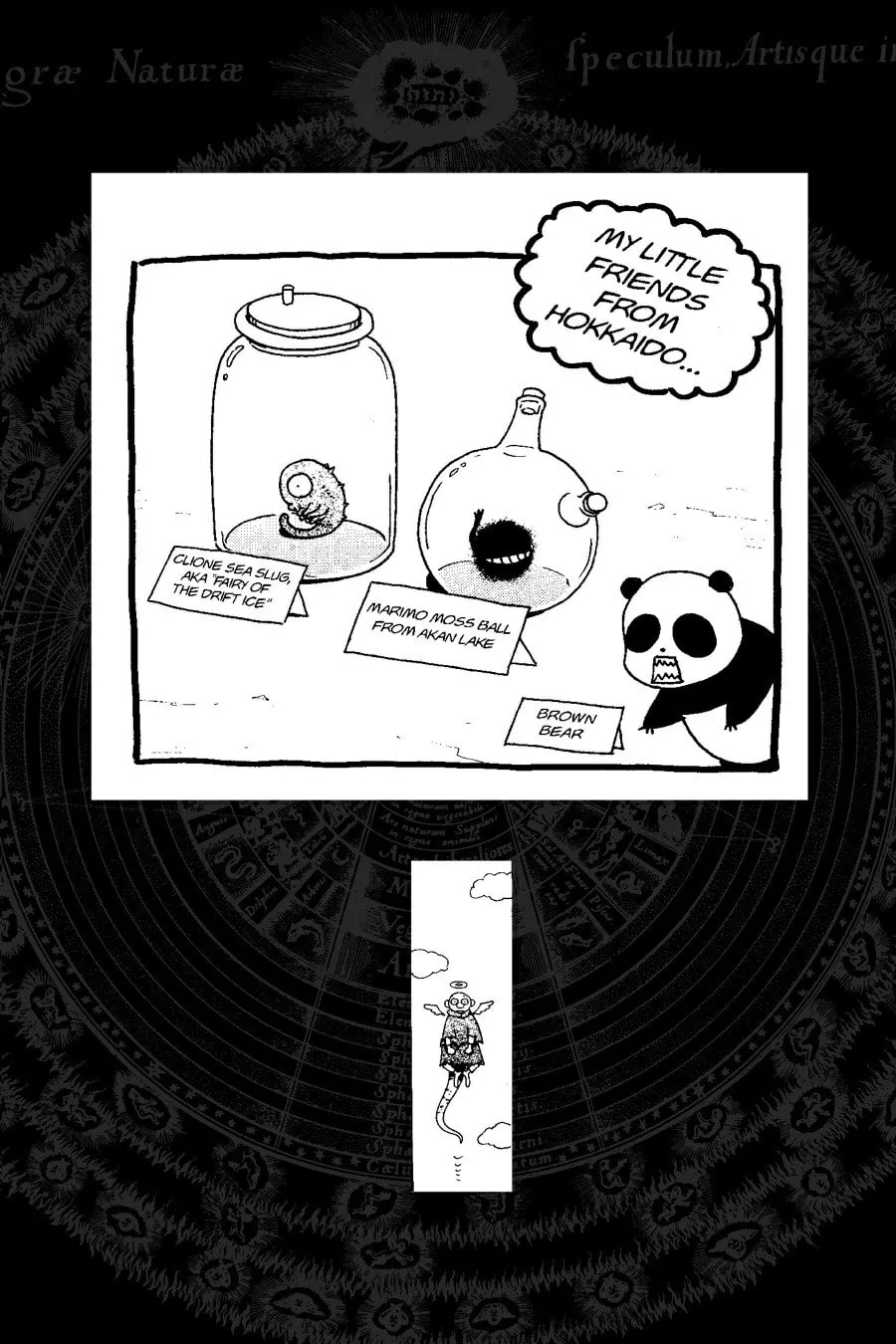 Fullmetal Alchemist Chapter 83.5 page 4 - 