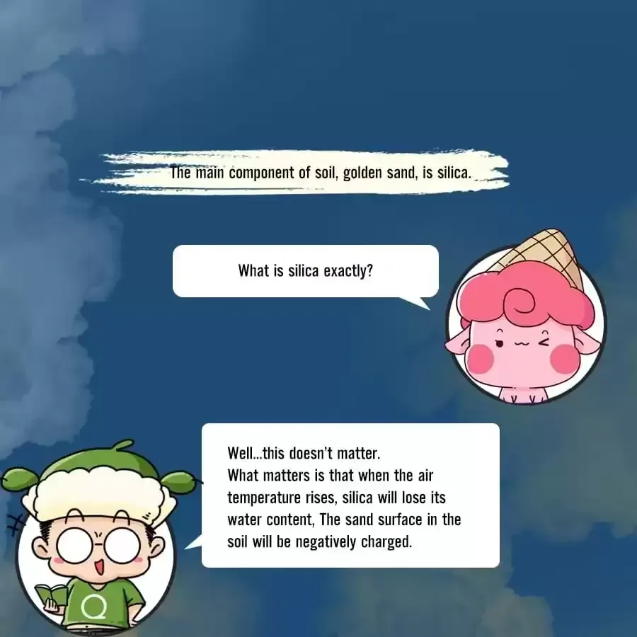 Fun Facts You Don