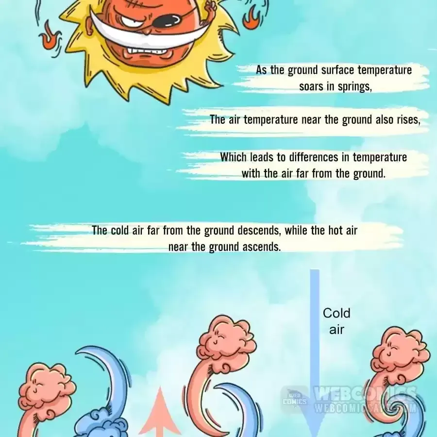 Fun Facts You Don