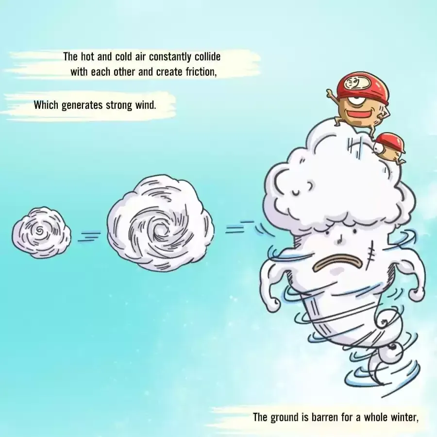 Fun Facts You Don