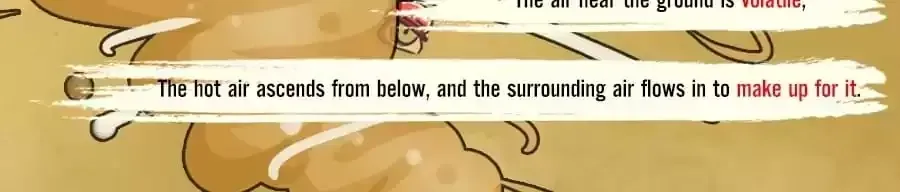 Fun Facts You Don