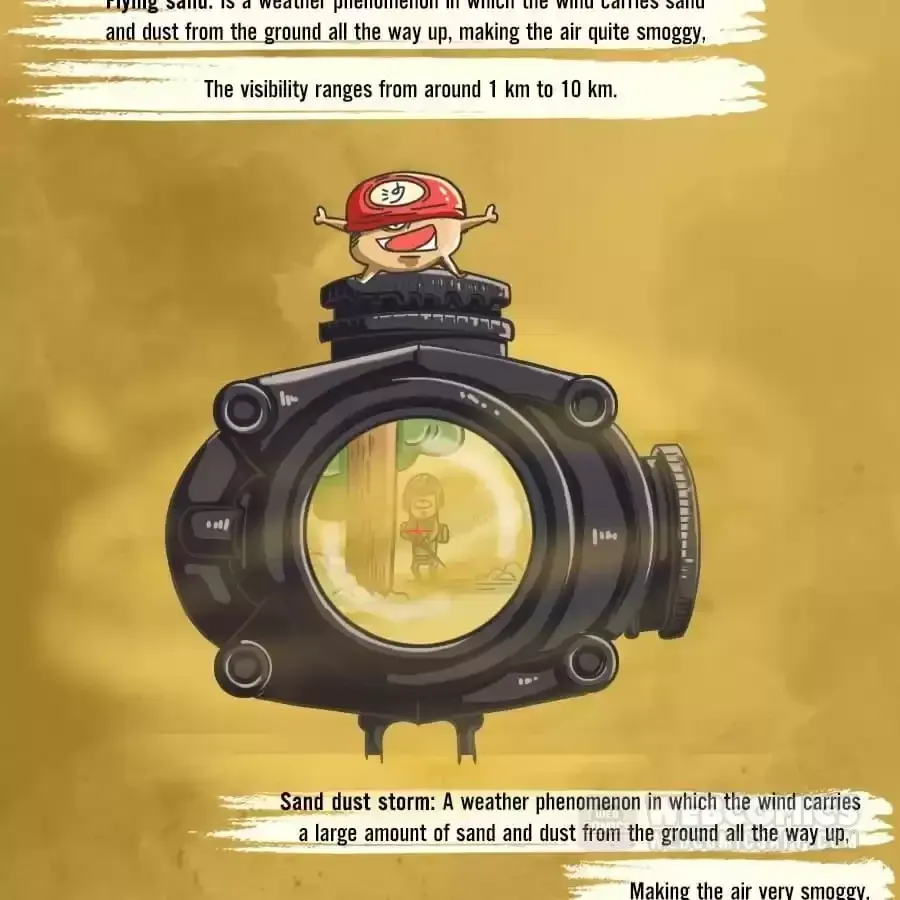 Fun Facts You Don