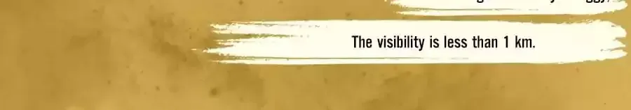 Fun Facts You Don