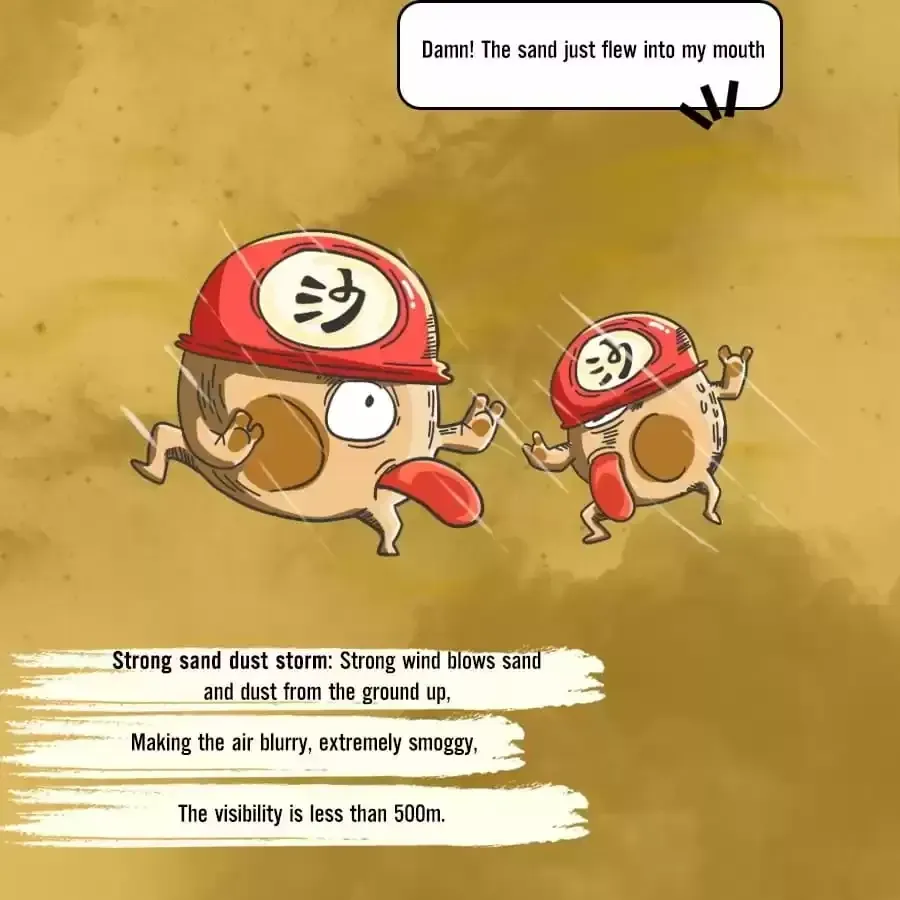 Fun Facts You Don