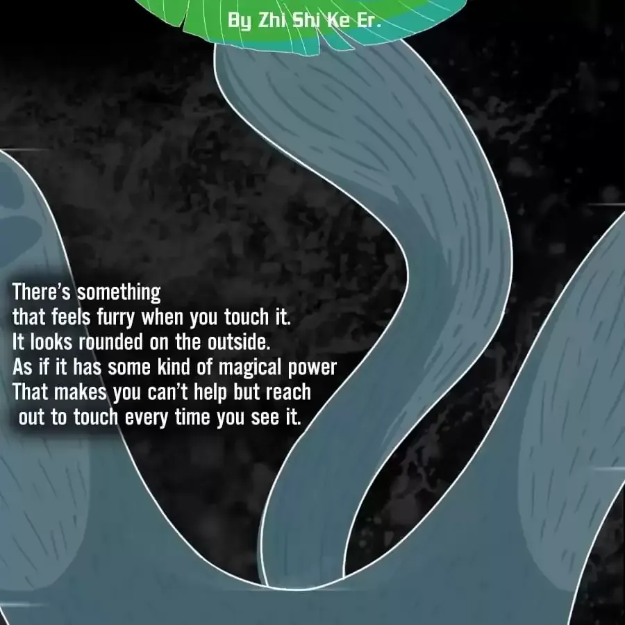 Fun Facts You Don