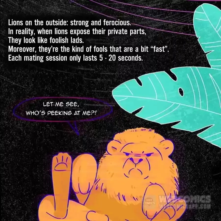 Fun Facts You Don