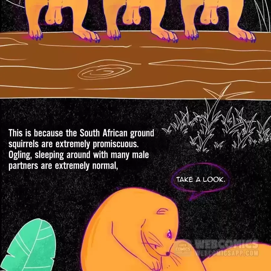 Fun Facts You Don