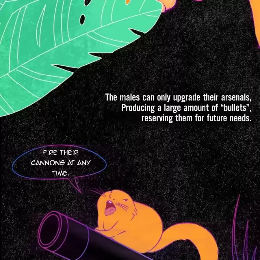 Fun Facts You Don