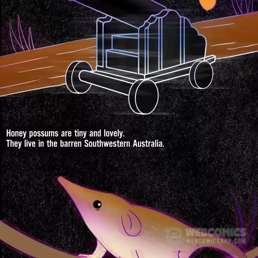 Fun Facts You Don