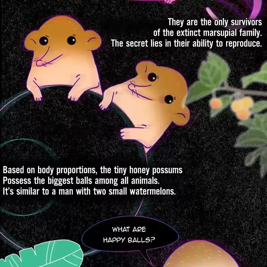 Fun Facts You Don