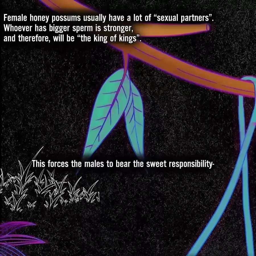 Fun Facts You Don