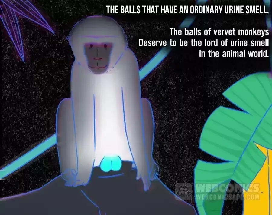 Fun Facts You Don