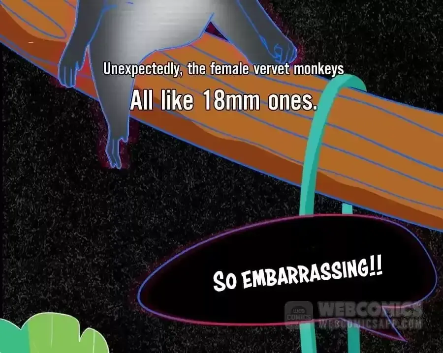 Fun Facts You Don