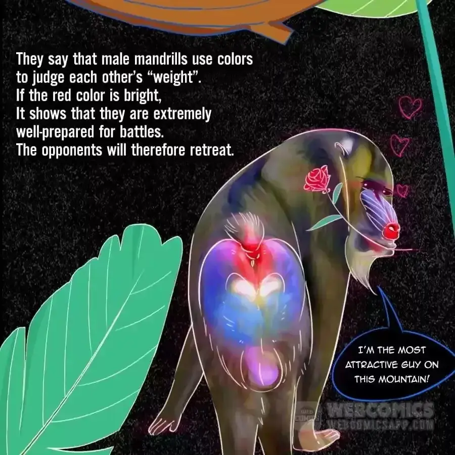Fun Facts You Don