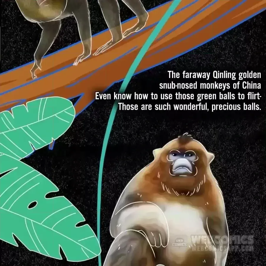Fun Facts You Don