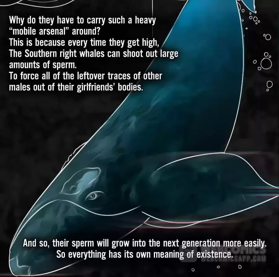 Fun Facts You Don
