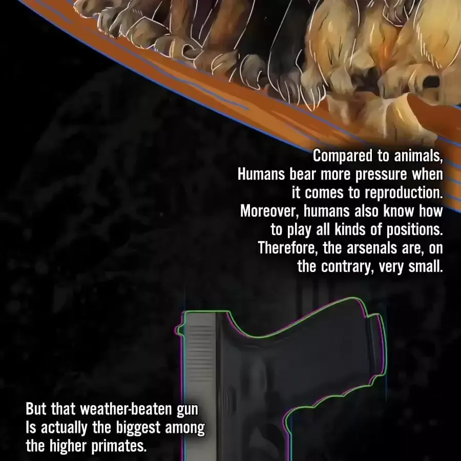 Fun Facts You Don