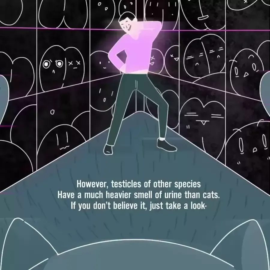 Fun Facts You Don