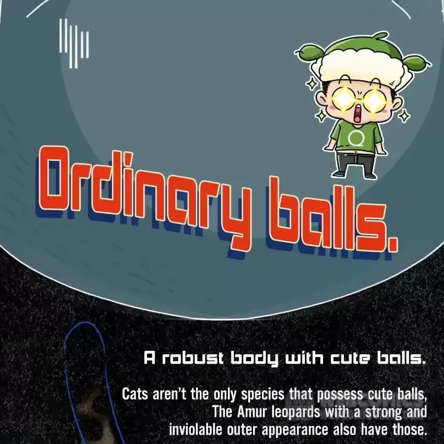 Fun Facts You Don
