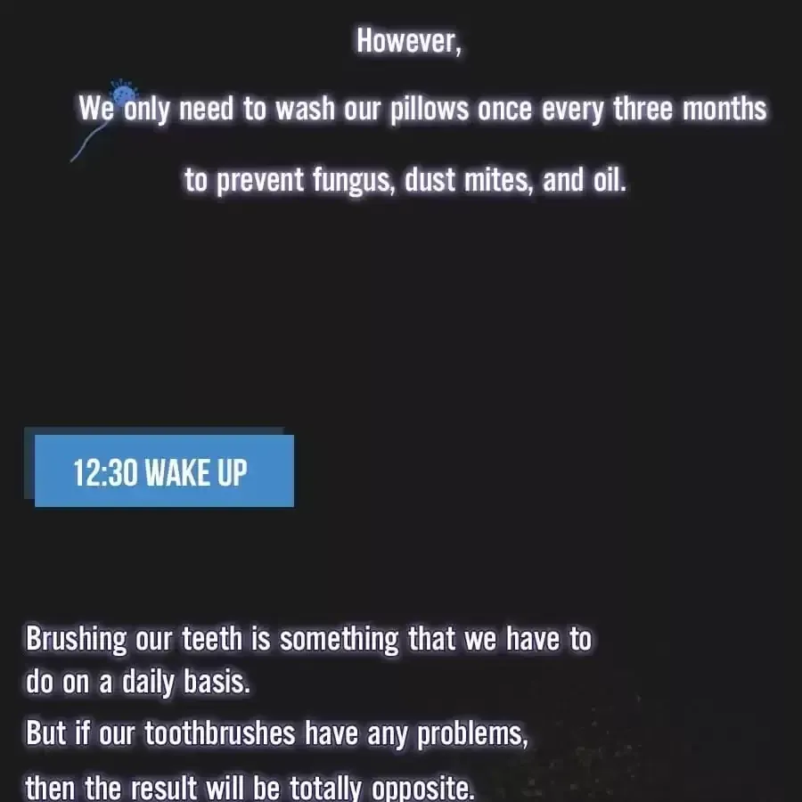 Fun Facts You Don