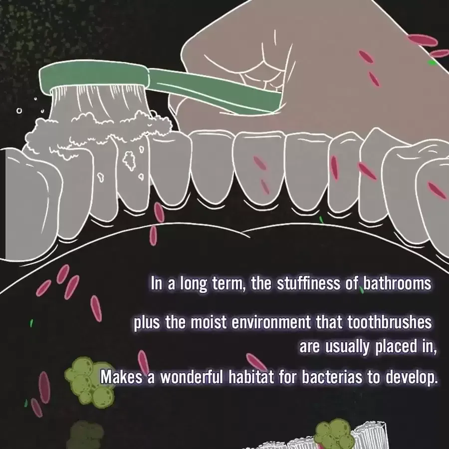Fun Facts You Don