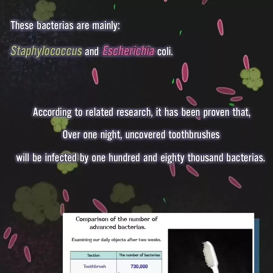 Fun Facts You Don
