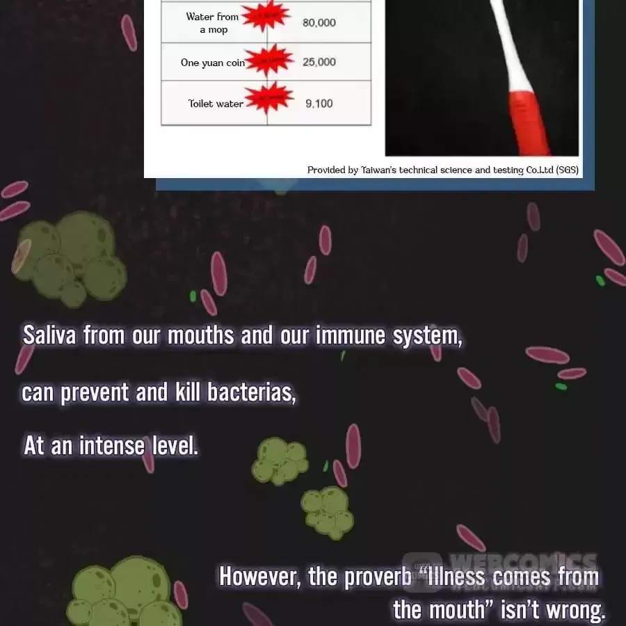Fun Facts You Don