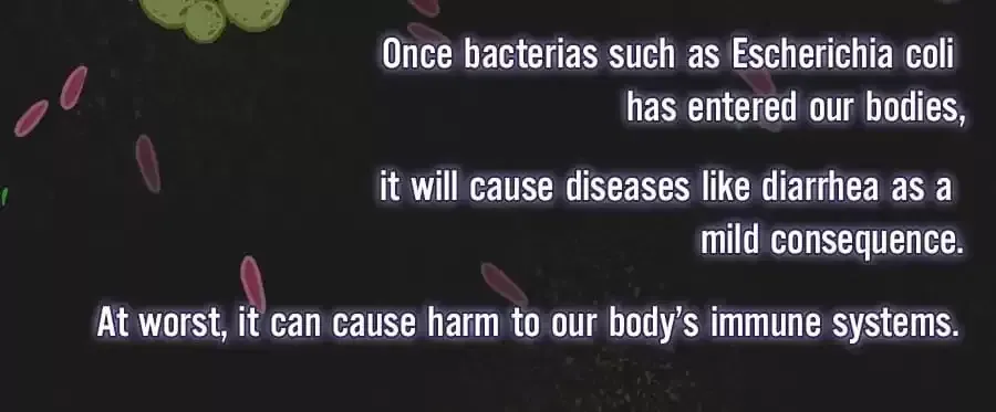 Fun Facts You Don