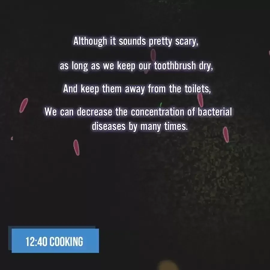 Fun Facts You Don