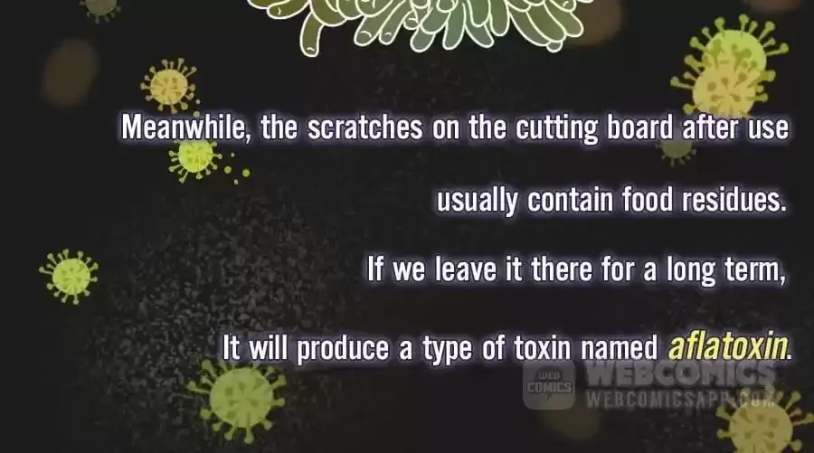 Fun Facts You Don