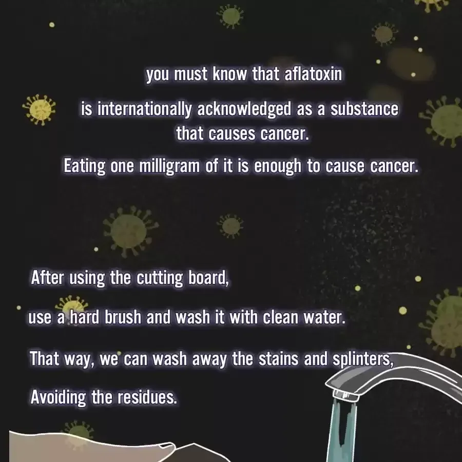 Fun Facts You Don