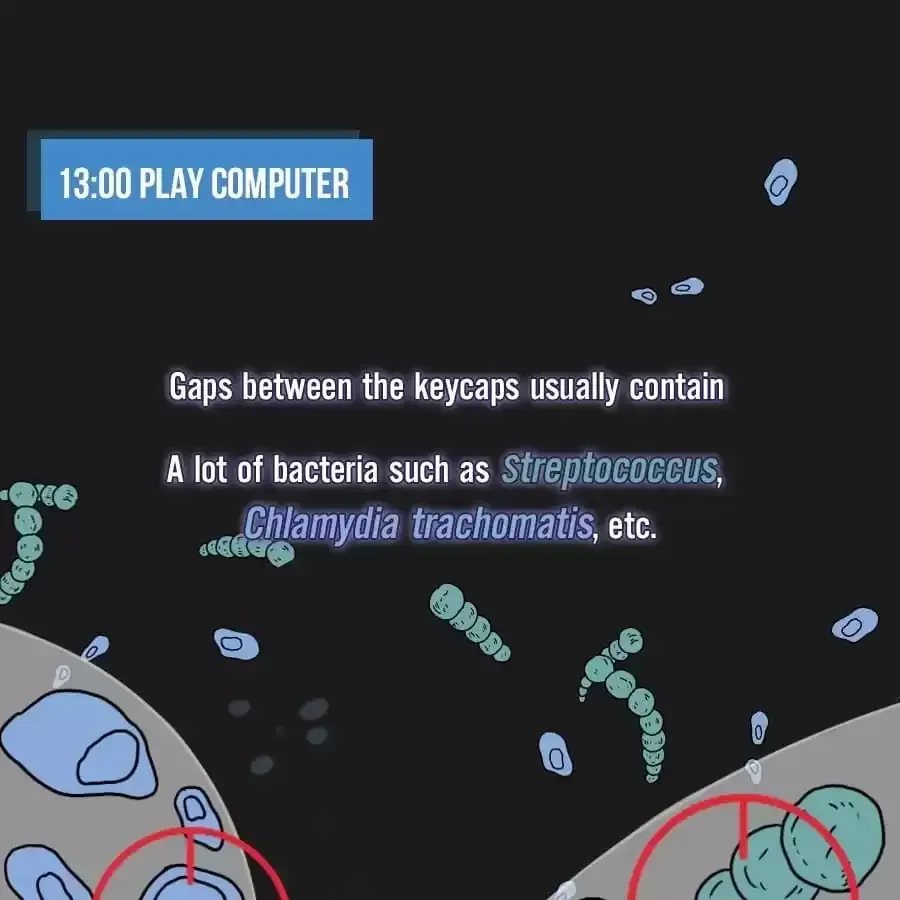 Fun Facts You Don