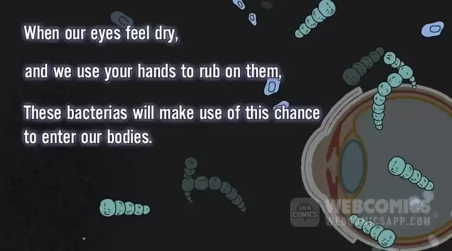 Fun Facts You Don