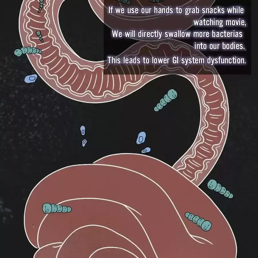 Fun Facts You Don