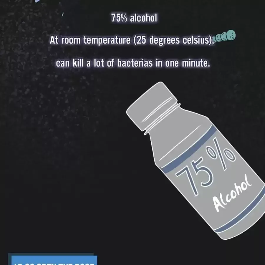 Fun Facts You Don