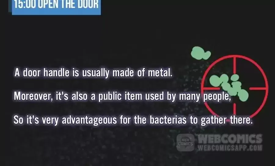 Fun Facts You Don