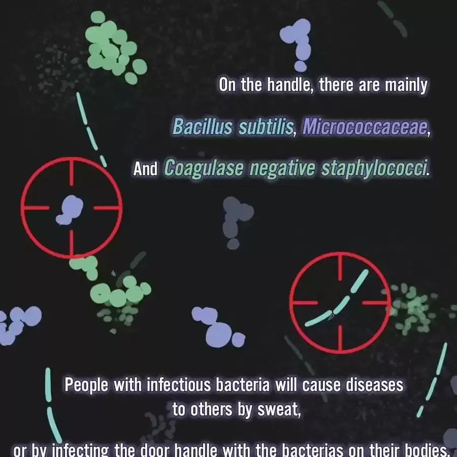 Fun Facts You Don